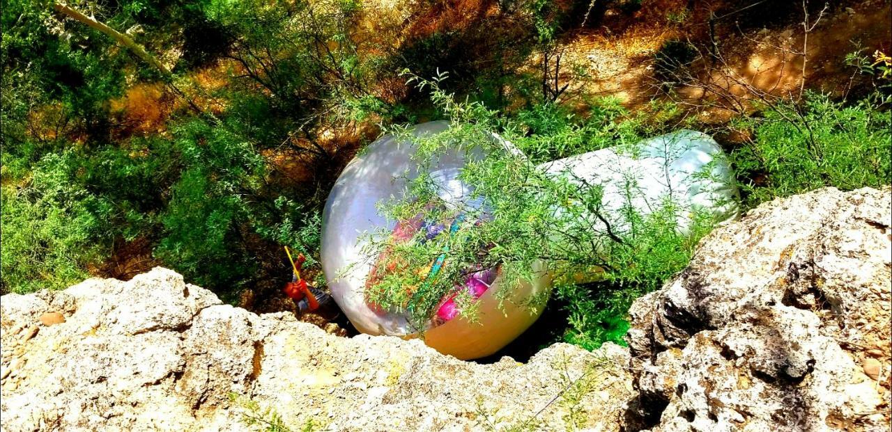 塞多纳 Cave, Yurt, Bubble And Other Glamping Adventures酒店 外观 照片