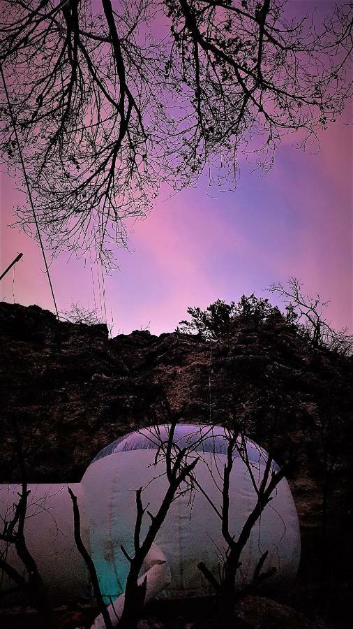 塞多纳 Cave, Yurt, Bubble And Other Glamping Adventures酒店 外观 照片