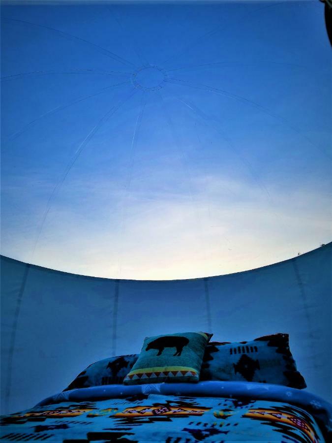 塞多纳 Cave, Yurt, Bubble And Other Glamping Adventures酒店 外观 照片