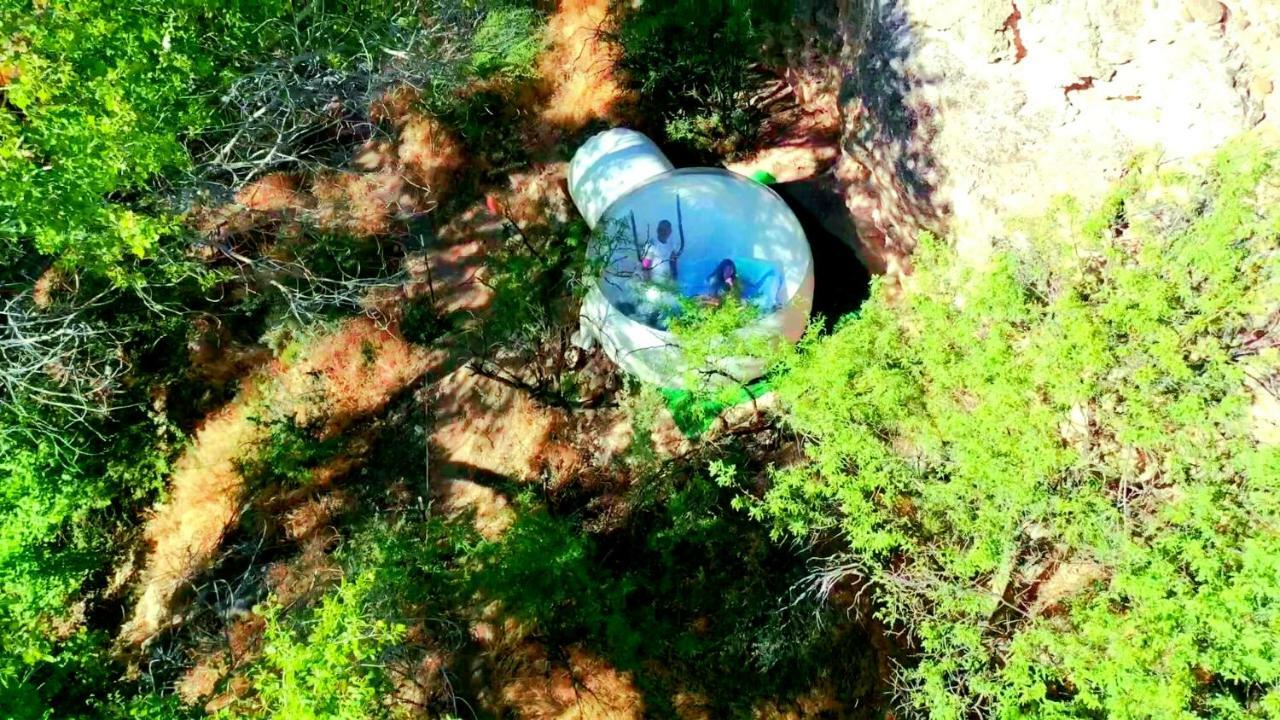 塞多纳 Cave, Yurt, Bubble And Other Glamping Adventures酒店 外观 照片
