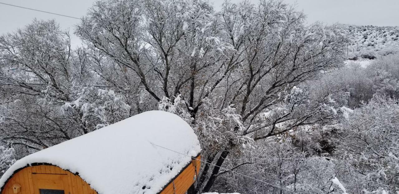 塞多纳 Cave, Yurt, Bubble And Other Glamping Adventures酒店 外观 照片